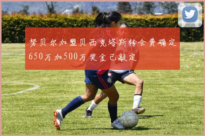 努贝尔加盟贝西克塔斯转会费确定650万加500万奖金已敲定