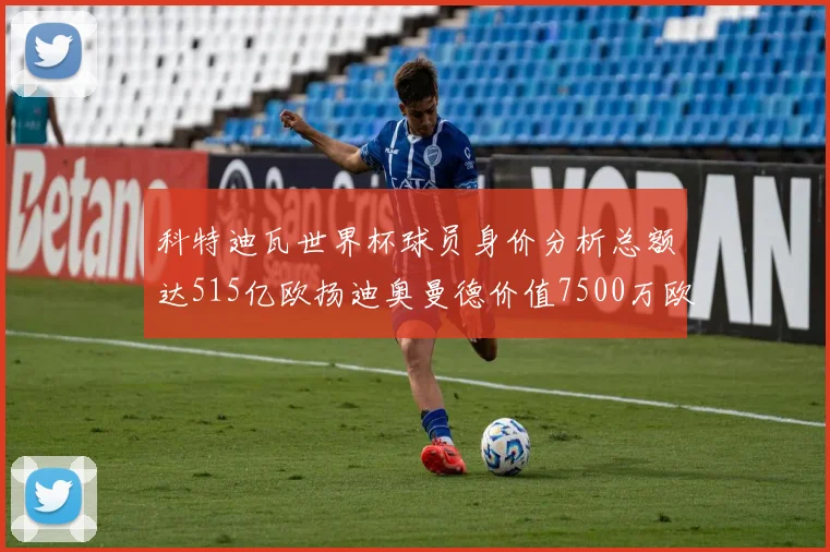 科特迪瓦世界杯球员身价分析总额达515亿欧扬迪奥曼德价值7500万欧